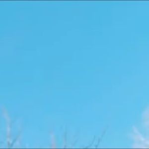 Meet your Posher, Bre